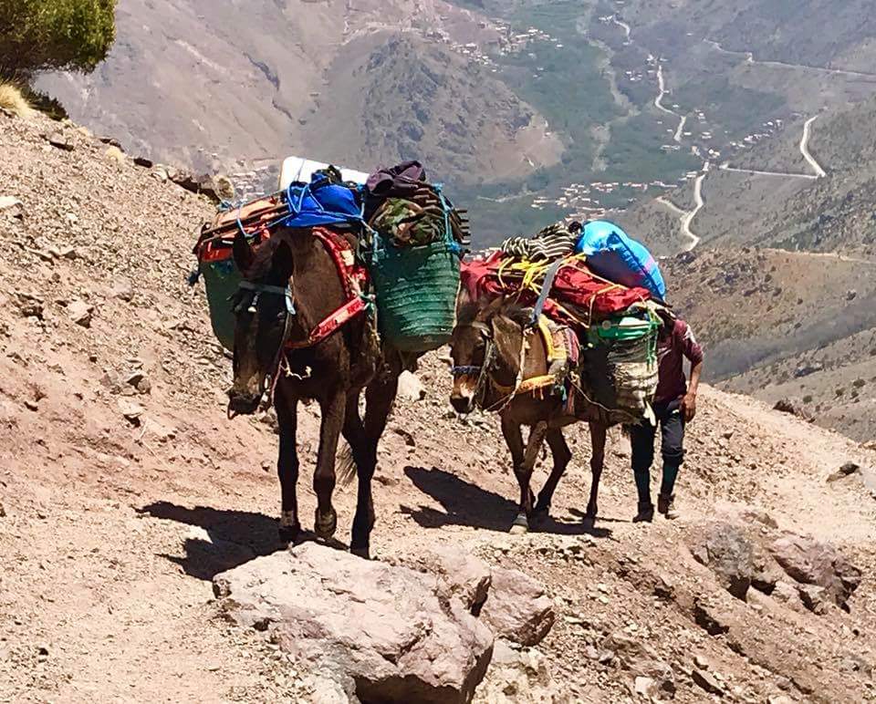 Hiking Morocco