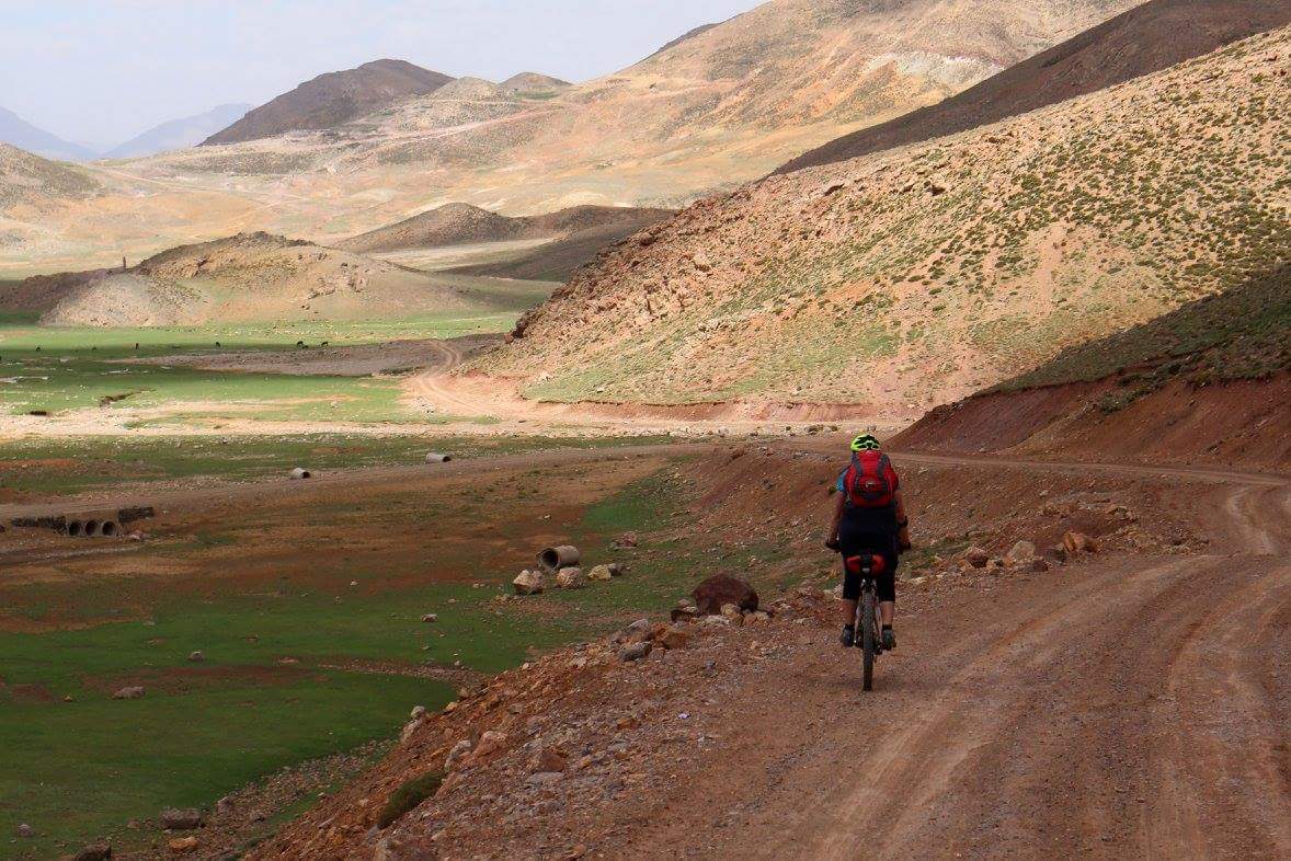 Sahara Road bike